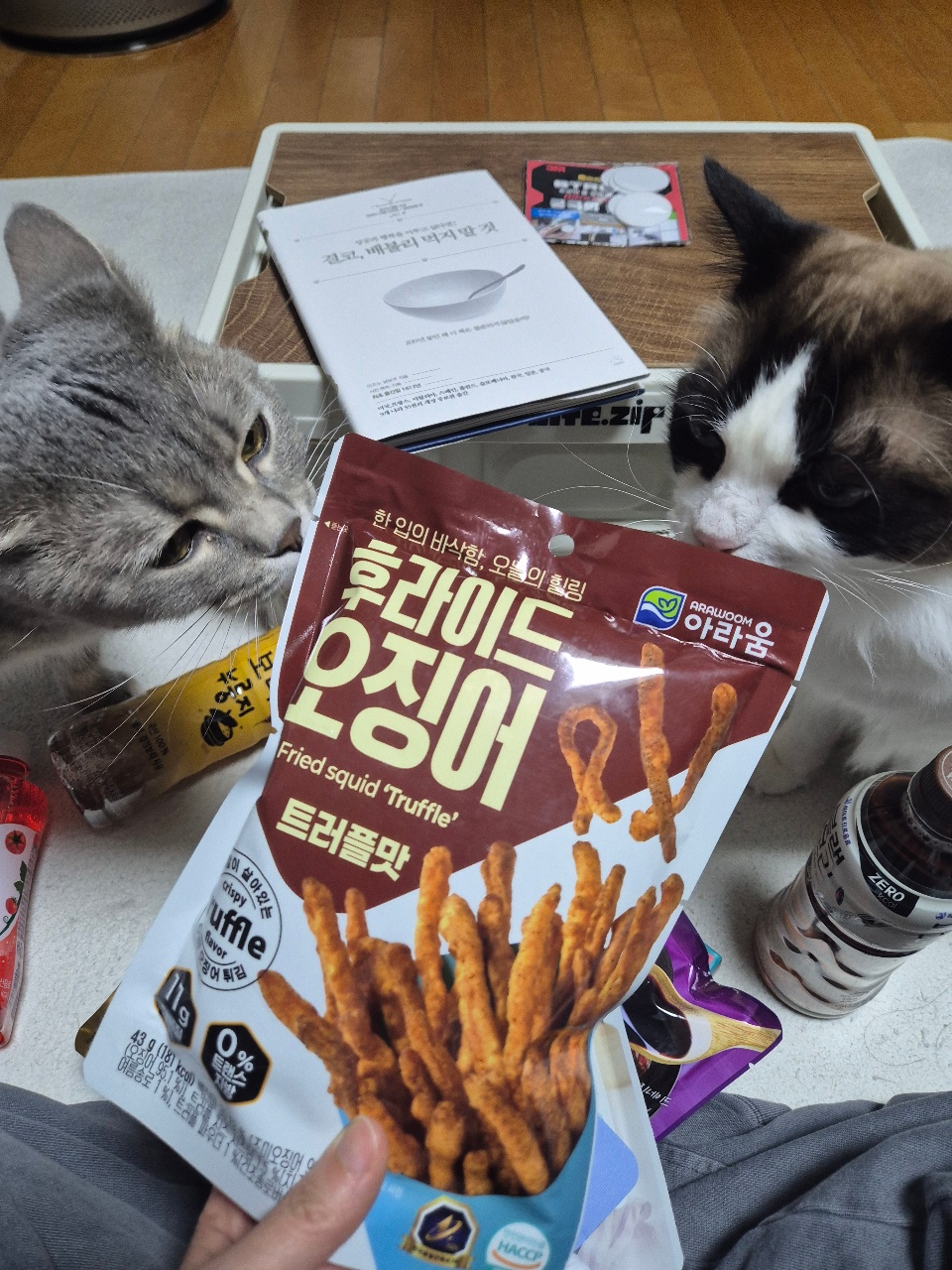 식탁 위에 놓인 과자 봉지와 고양이 두 마리