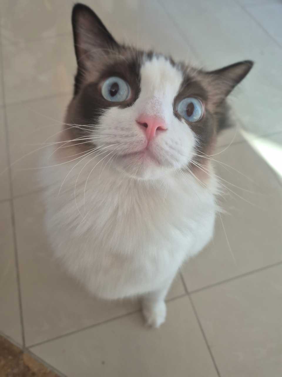 모닝커피 마셔요:)