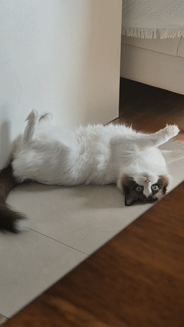 모닝커피 마셔요:)