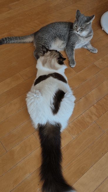 모닝커피 마셔요:)