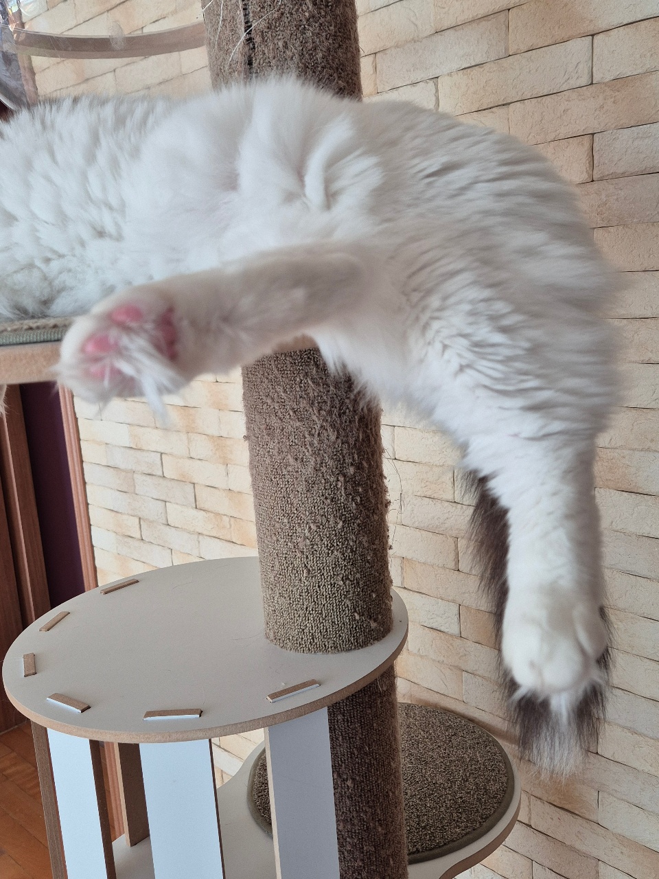 모닝커피 마셔요:)