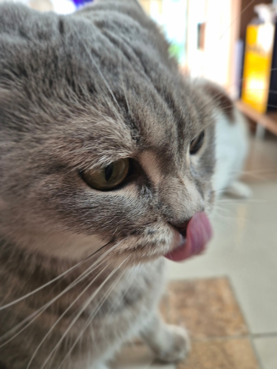 모닝커피 마셔요:)