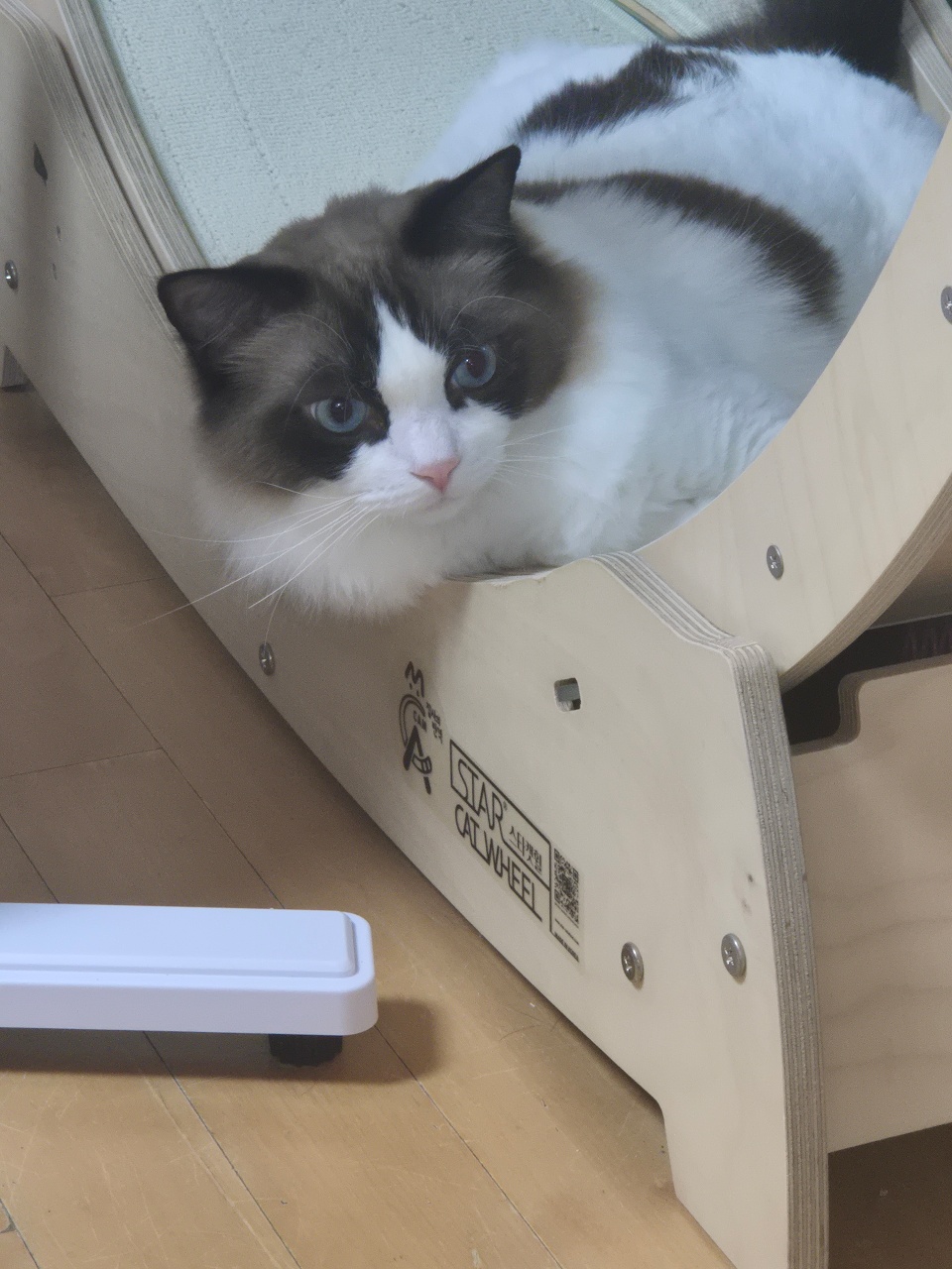 모닝커피 마셔요:)