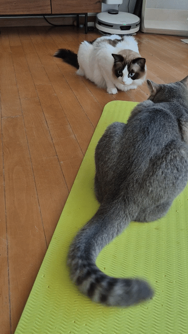 모닝커피 마셔요:)