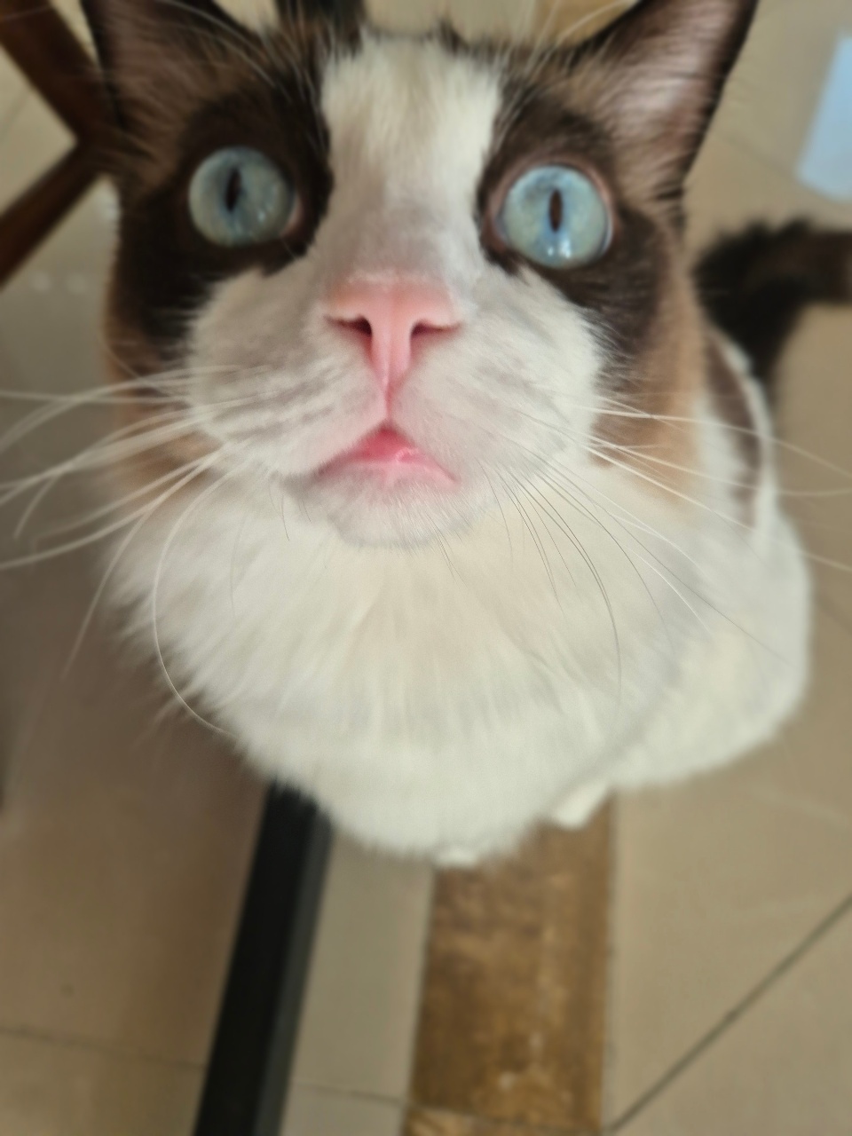 모닝커피 마셔요:)