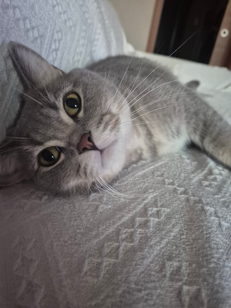 모닝커피 마셔요:)
