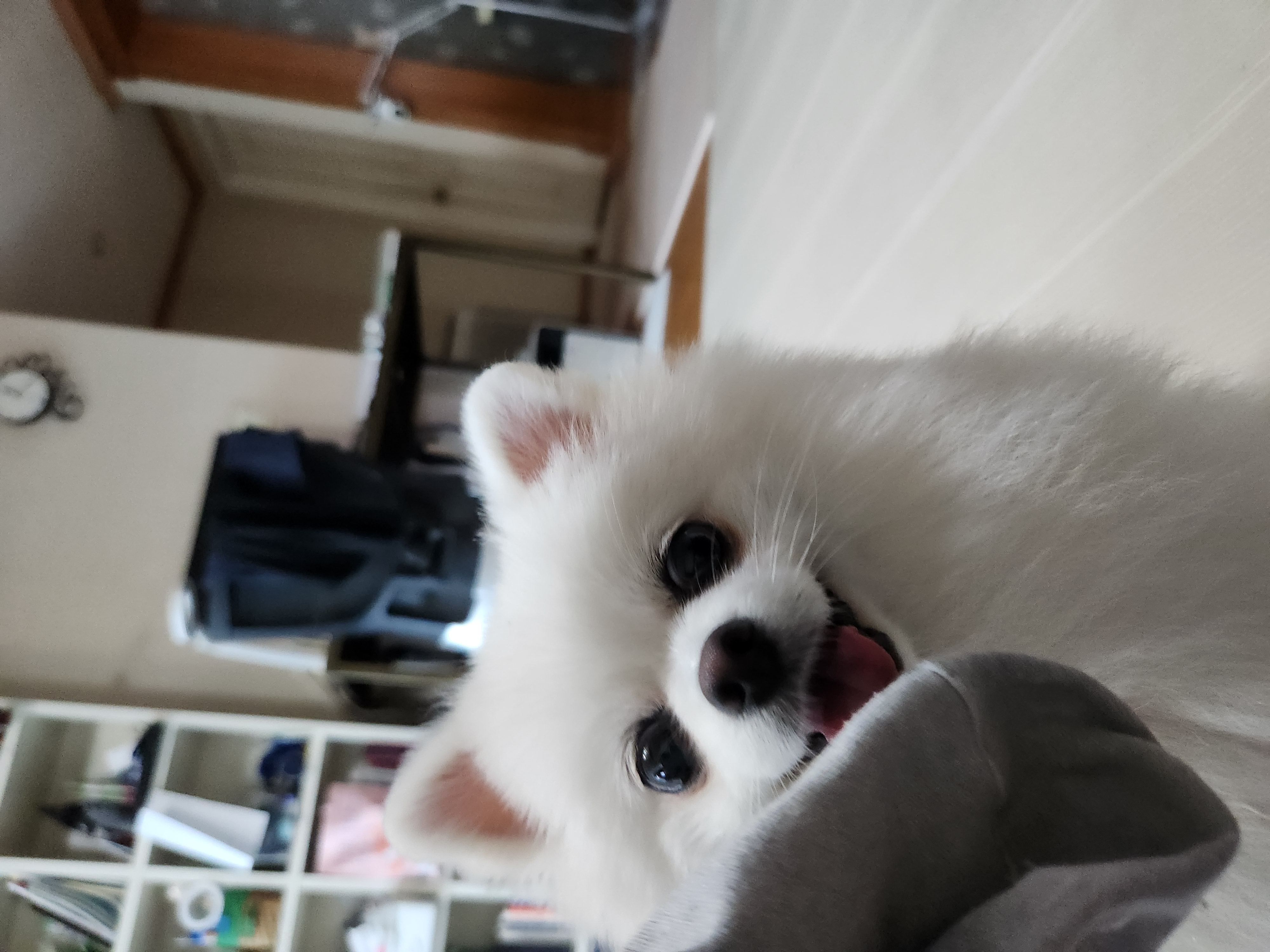 첨부파일