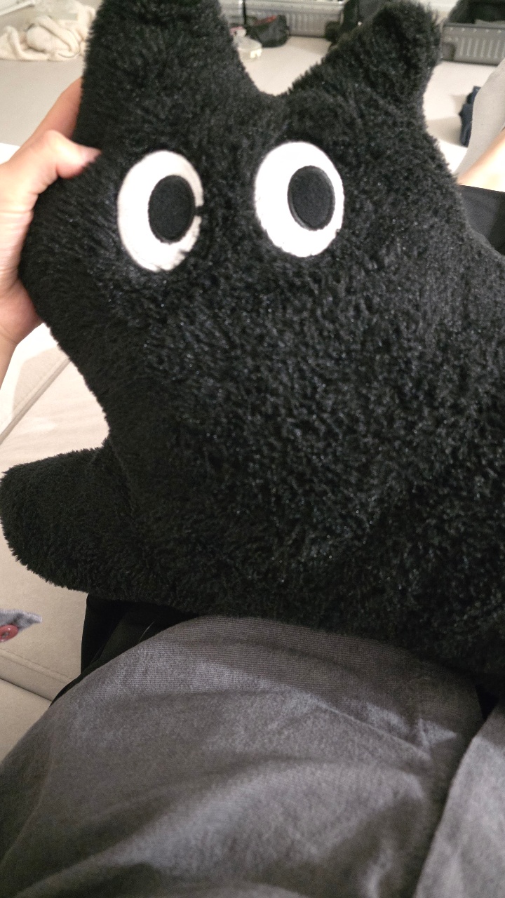 무릎냥이 