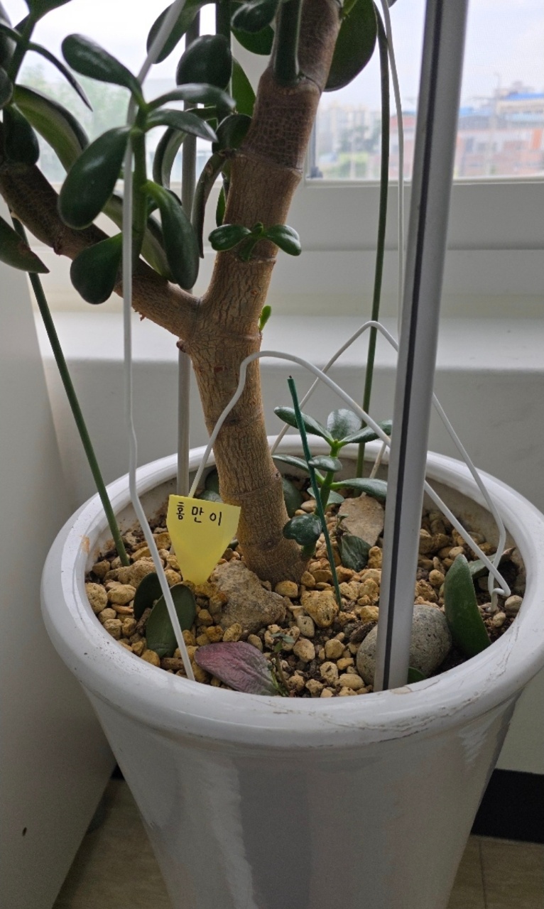이름표 달아주기