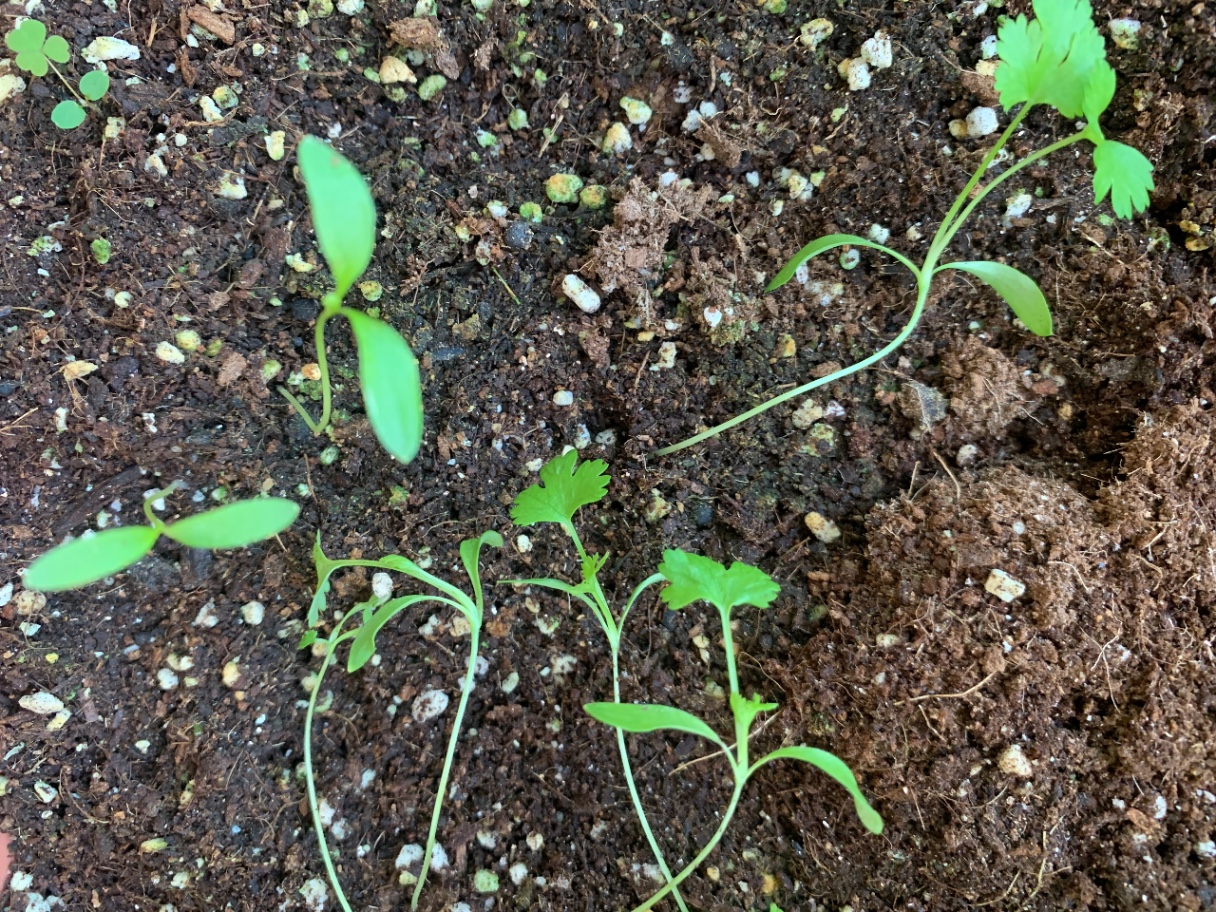 👒갈비씨 고수님🌱🌱🌱