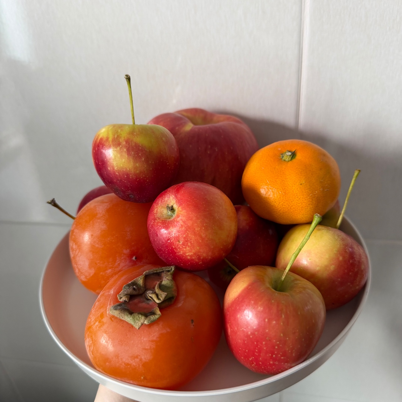 제철과일🍎🍊🍎