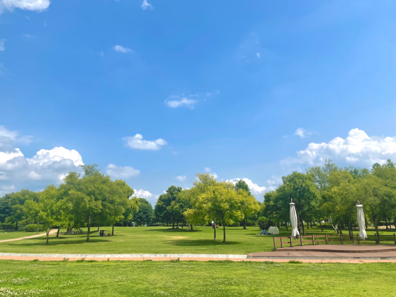일요일과 공원과 자전거🌳🚲