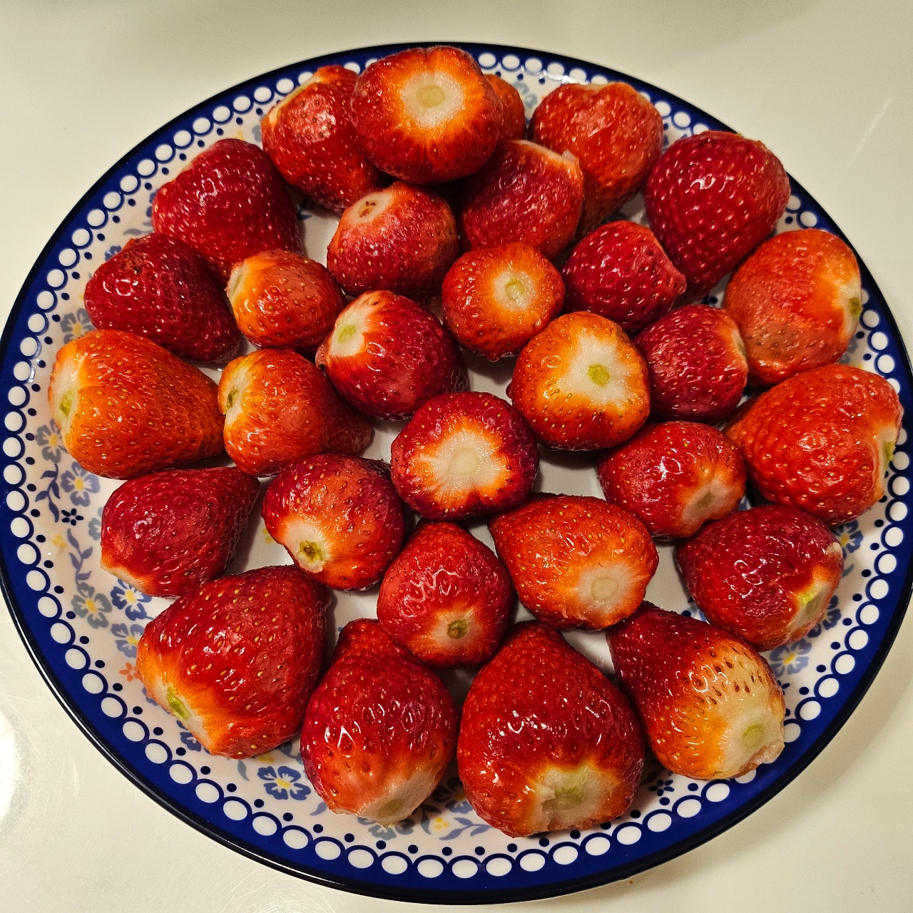 🍓딸기꽃이 피었습니다🌷