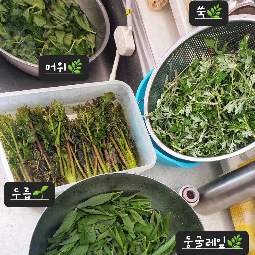 봄나물 잔치다🌿🌱💚