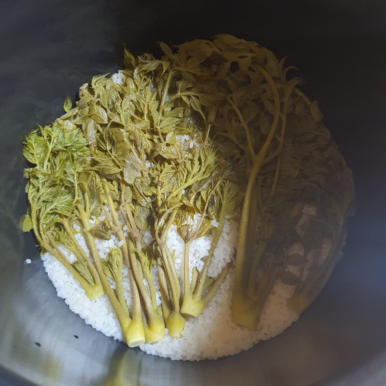 두릅밥😋😋😋