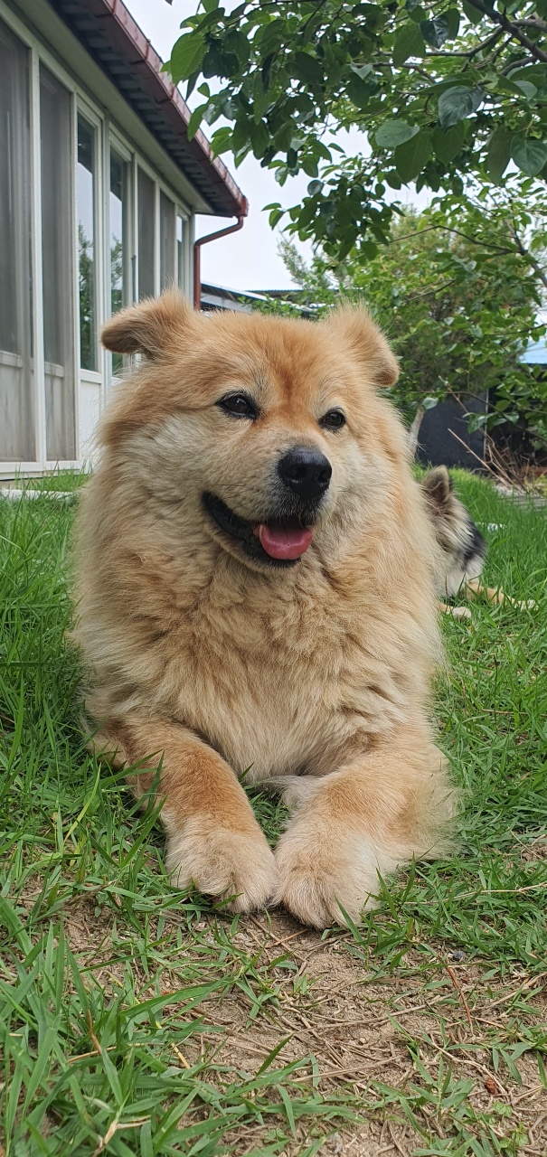 잘~ 생겼다🐶😁❤️