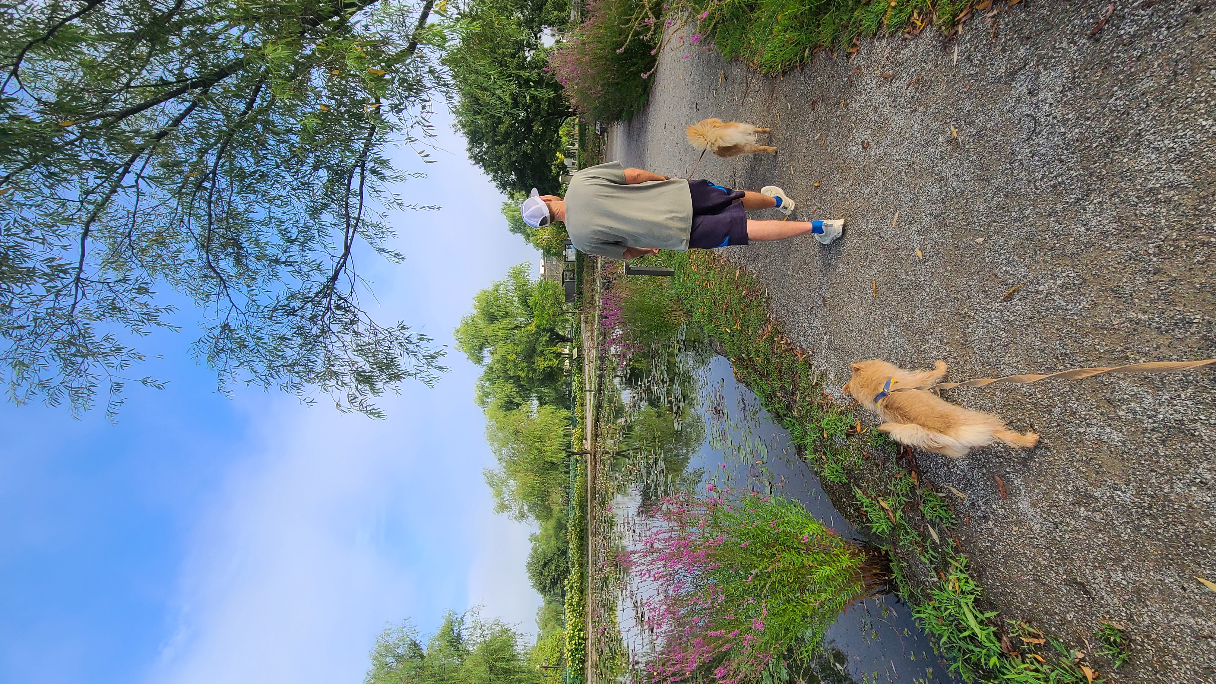 모닝 워크👣🐾🌄