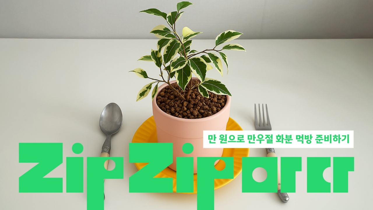 [ZipZip마다] 만우절 기념! 단돈 만 원으로 먹을 수 있는 화분 만들기