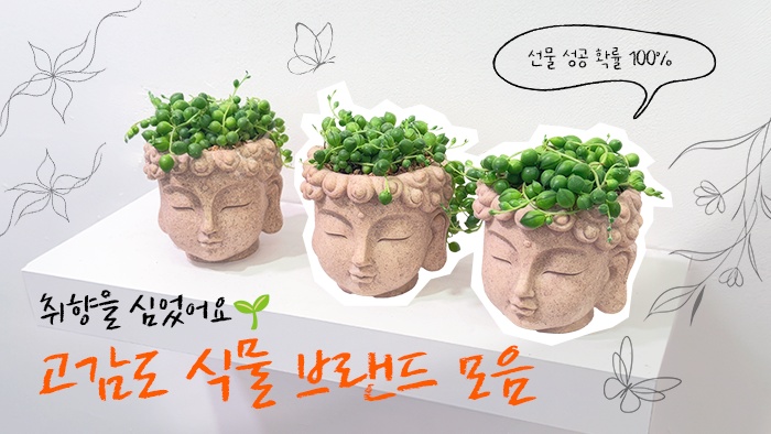 [나만의우주템] 선물 성공 확률 100%! 취향을 심은 초록 브랜드 3