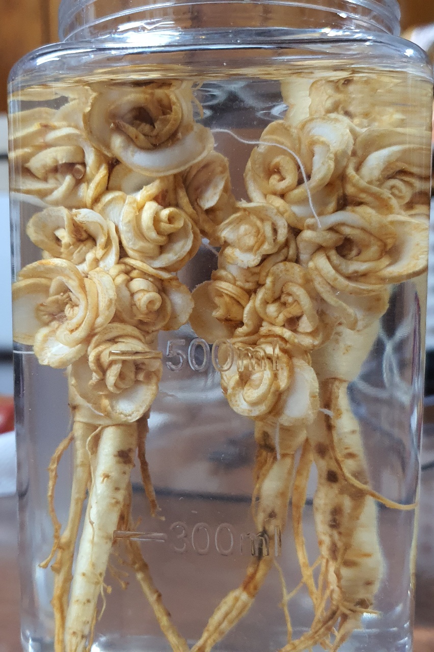 꽃 인삼주🏵