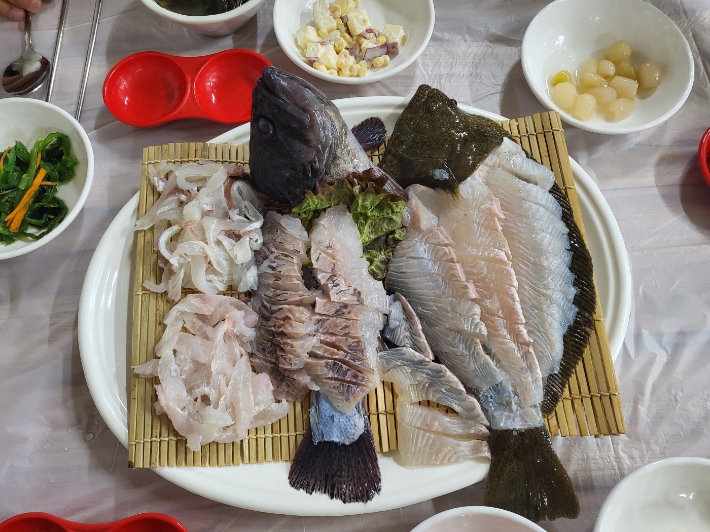 살아있는(?) 회🐟