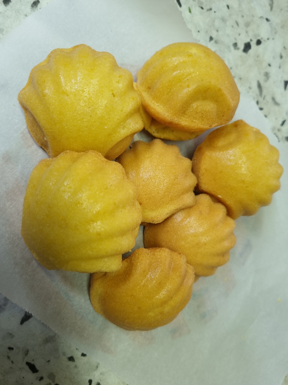 마들렌💛
