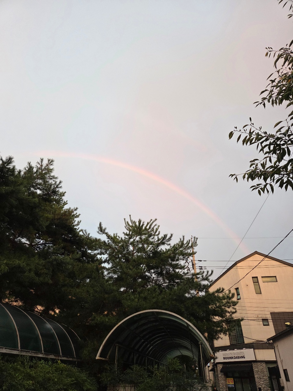 비 온 뒤 무지개🌈