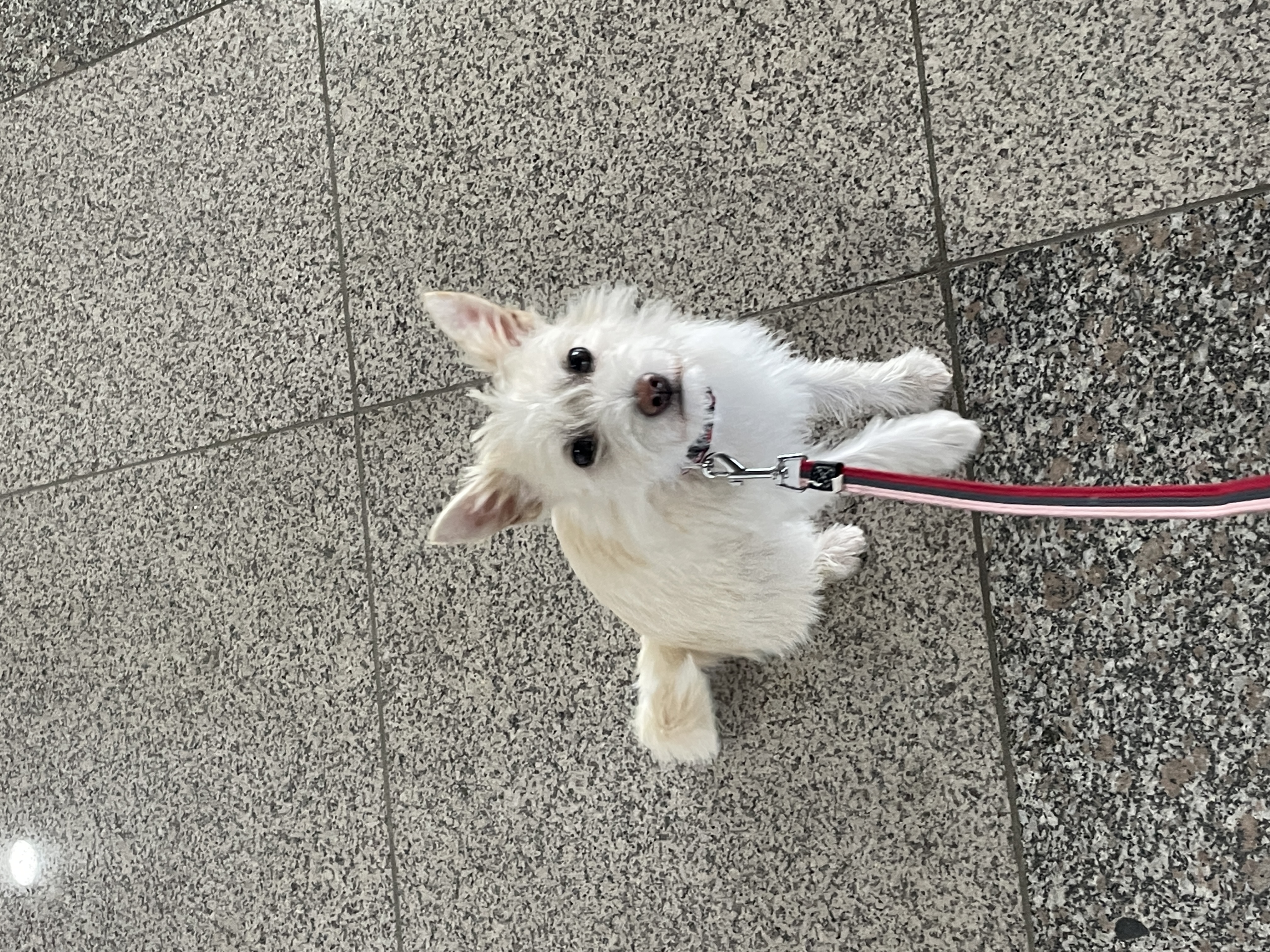 첨부파일