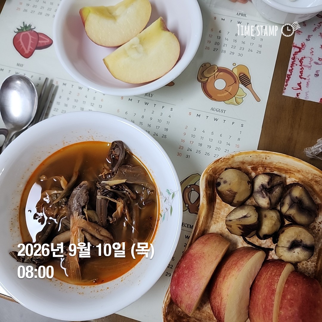 오늘의 일상