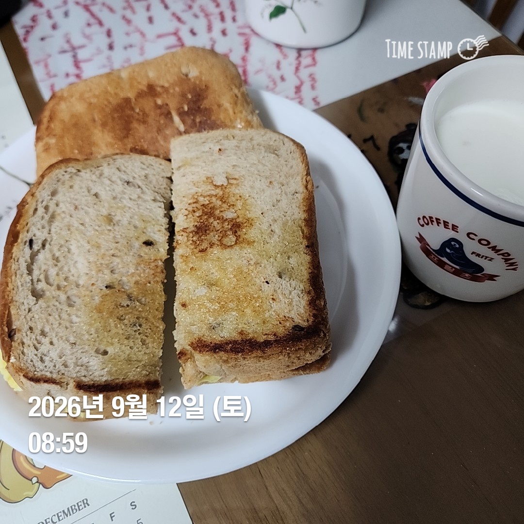 오늘의 일상