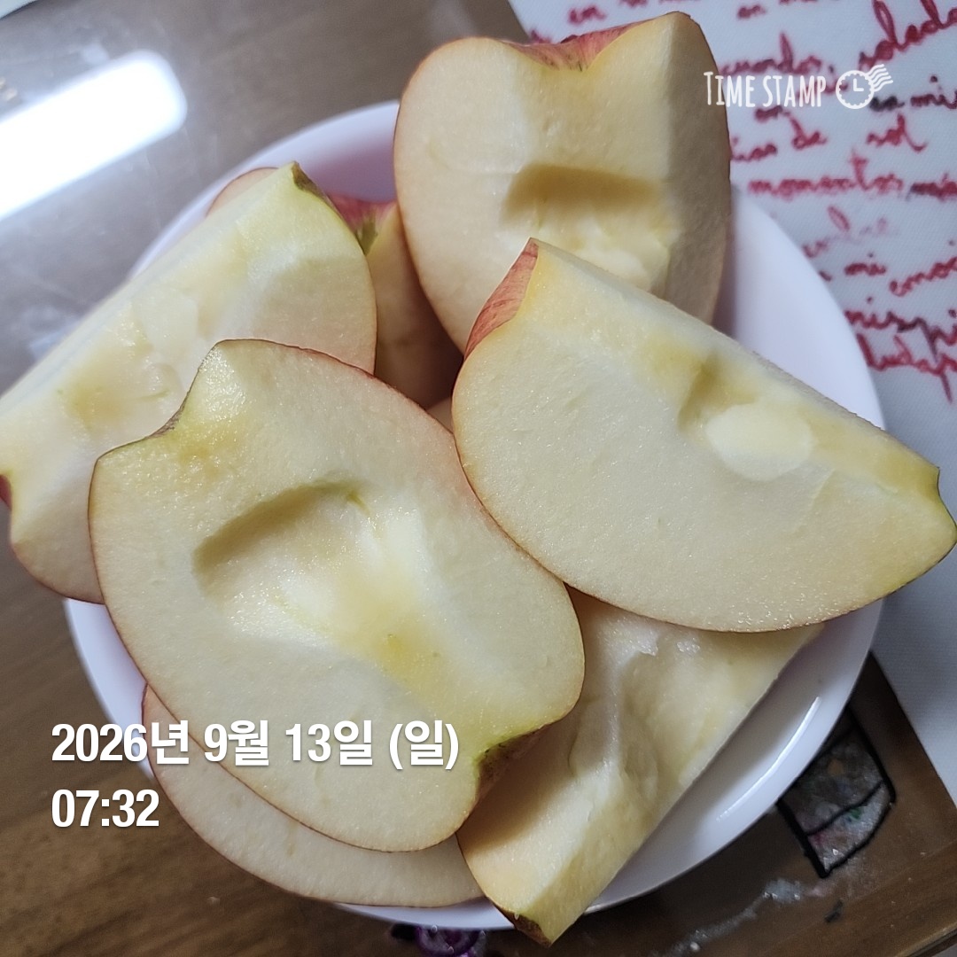 오늘의 일상