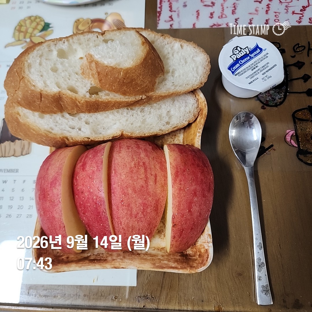 오늘의 일상