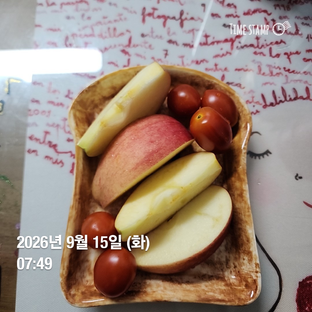 오늘의 일상
