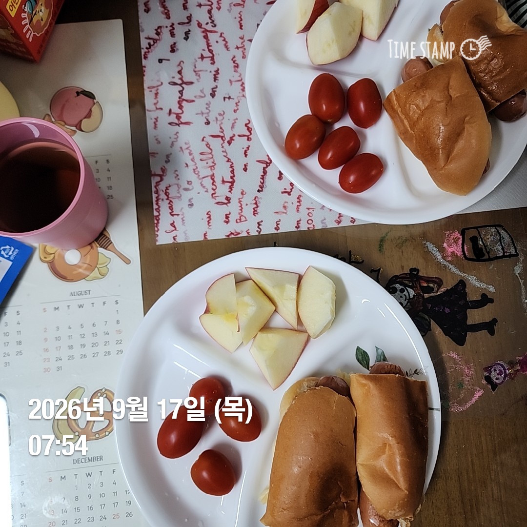 오늘의 일상