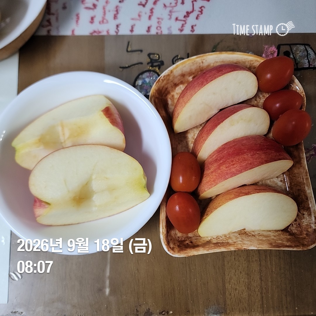 오늘의 일상