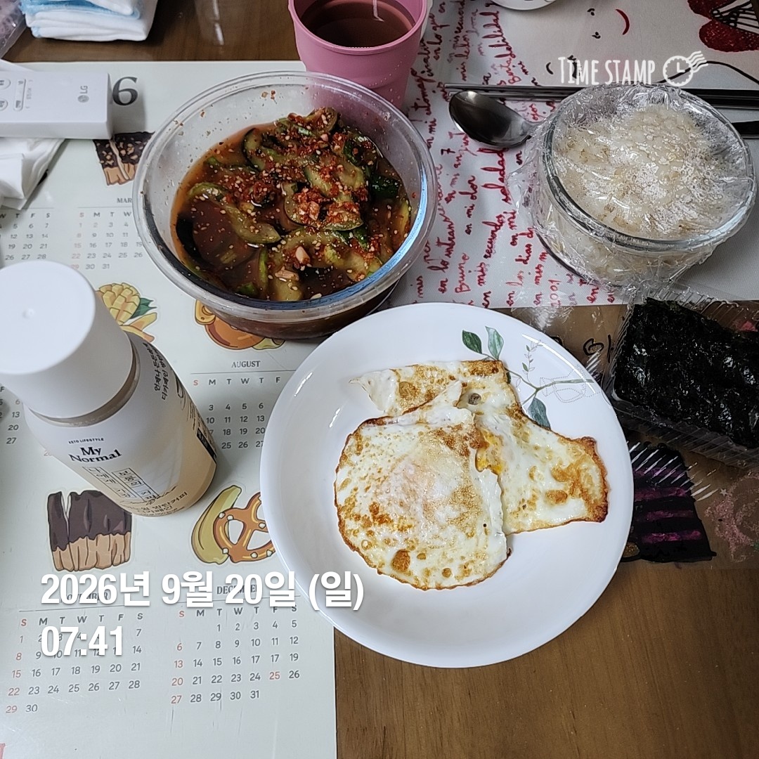 오늘의 일상