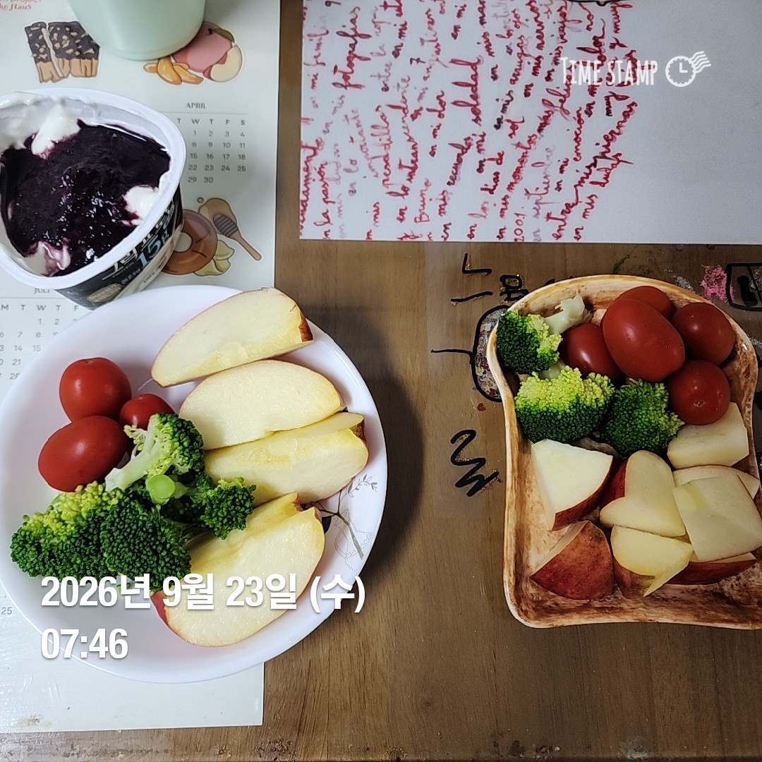 오늘의 일상