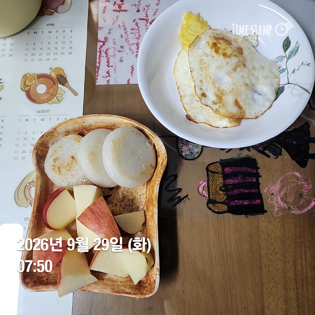 오늘의 일상