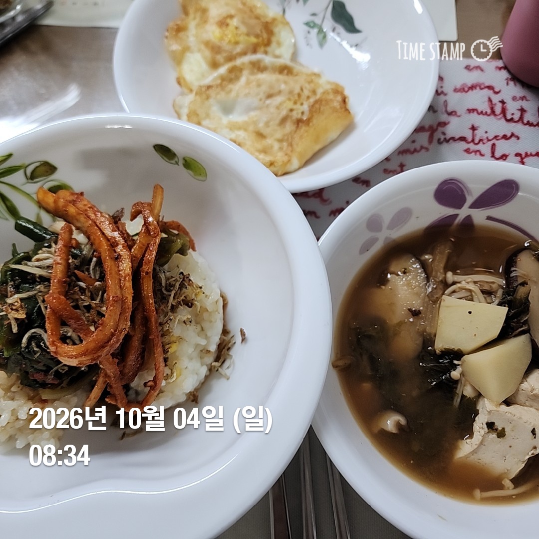 오늘의 일상
