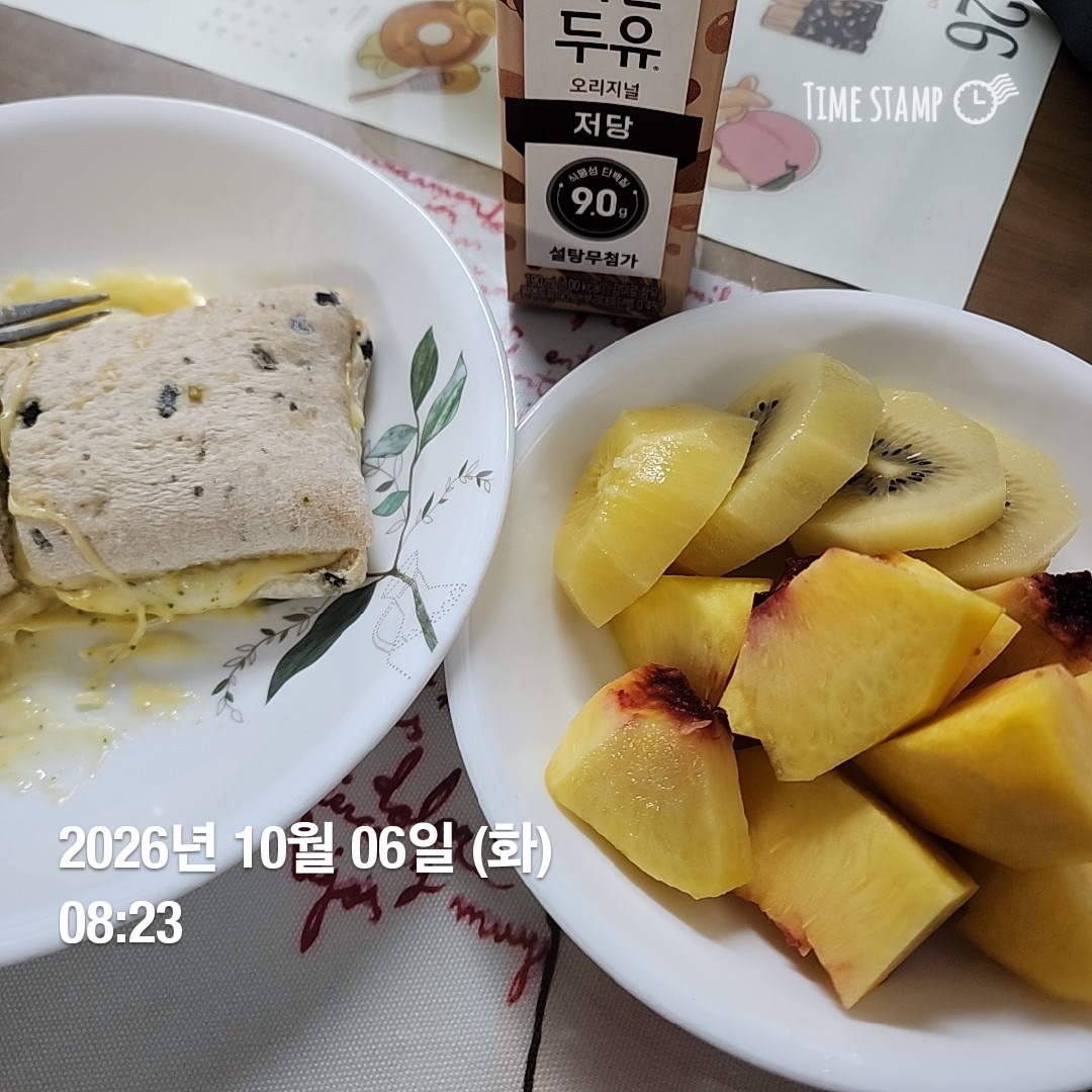 오늘의 일상