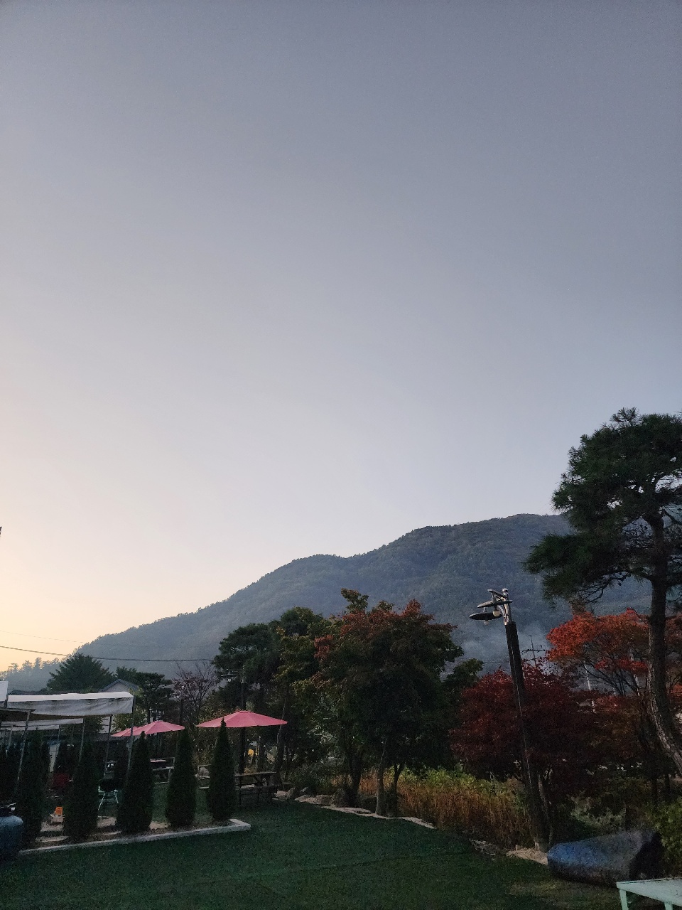 오늘의 일상