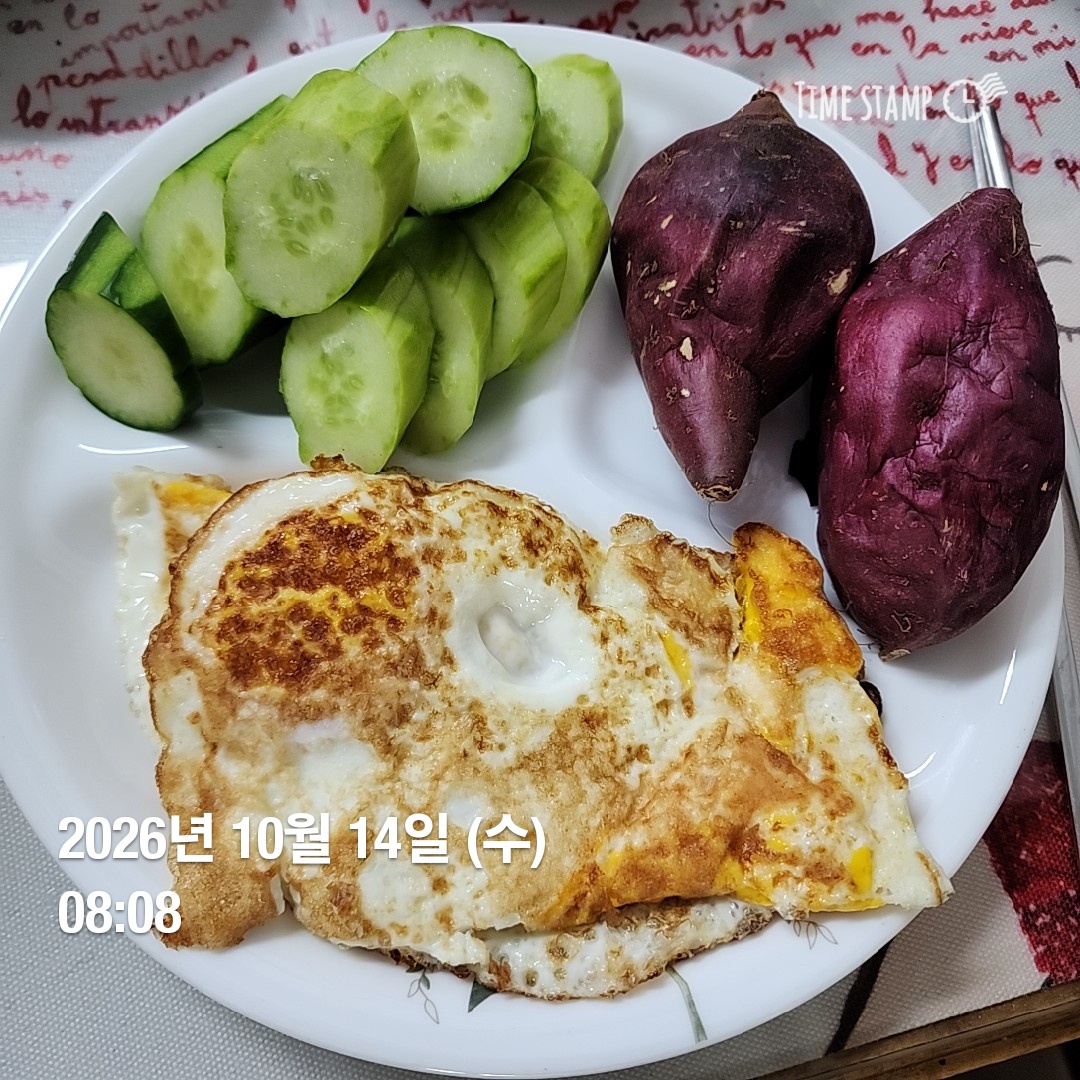 오늘의 일상