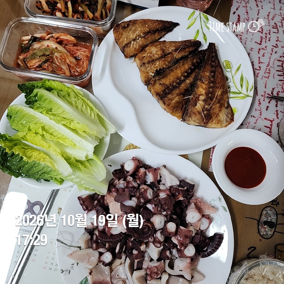 오늘의 일상