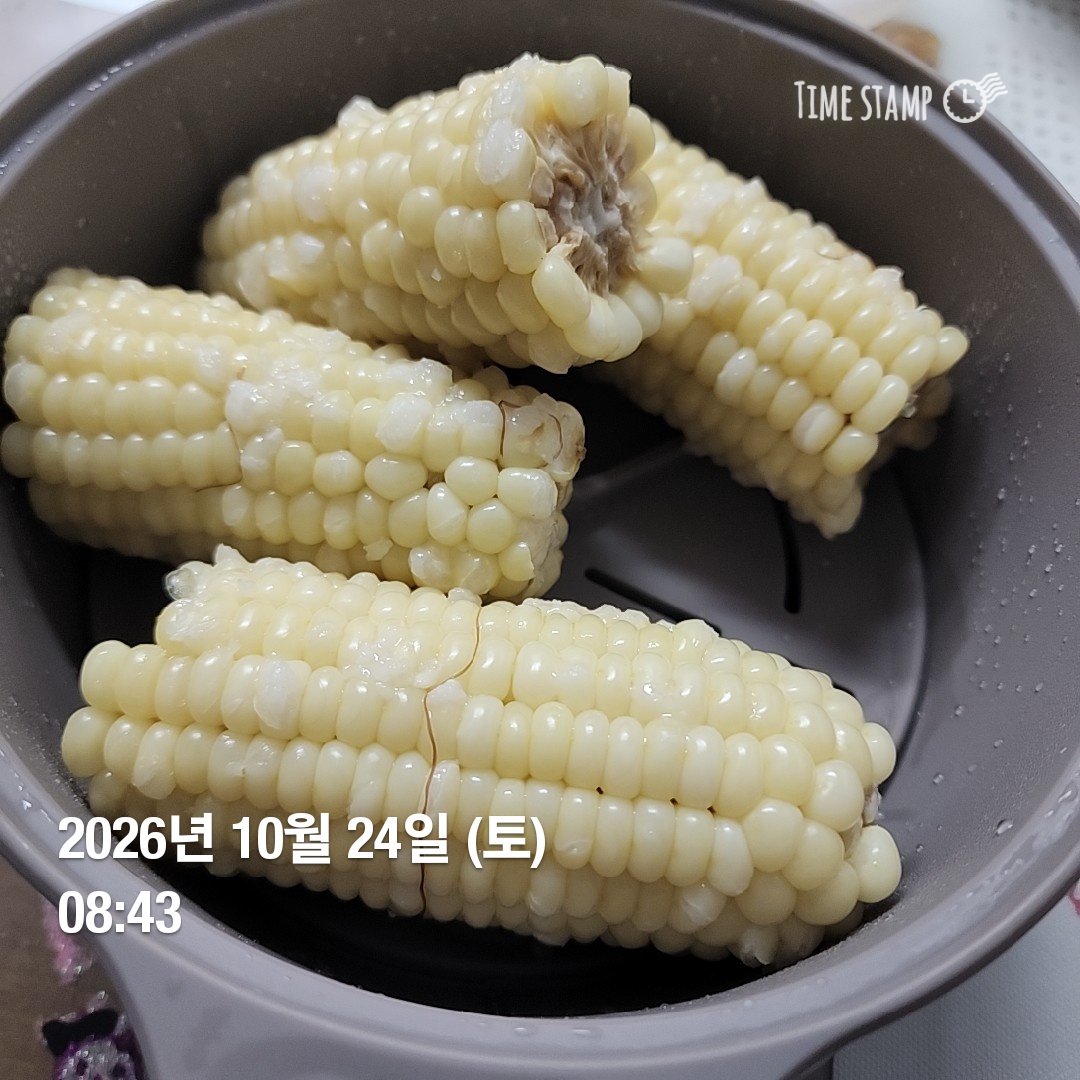오늘의 일상