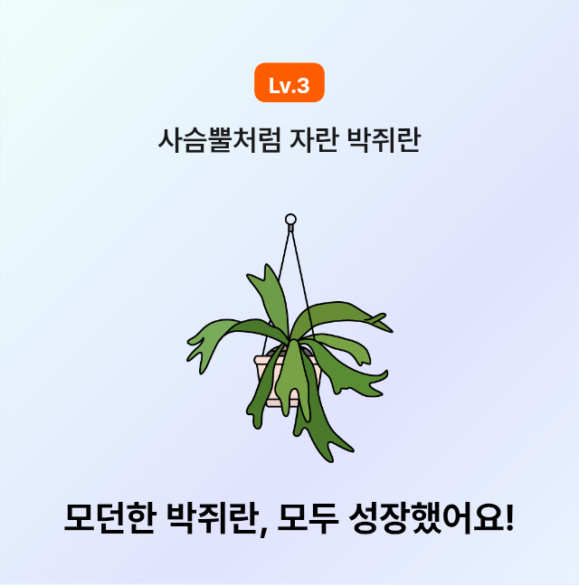 너무 좋은 아이디어에요