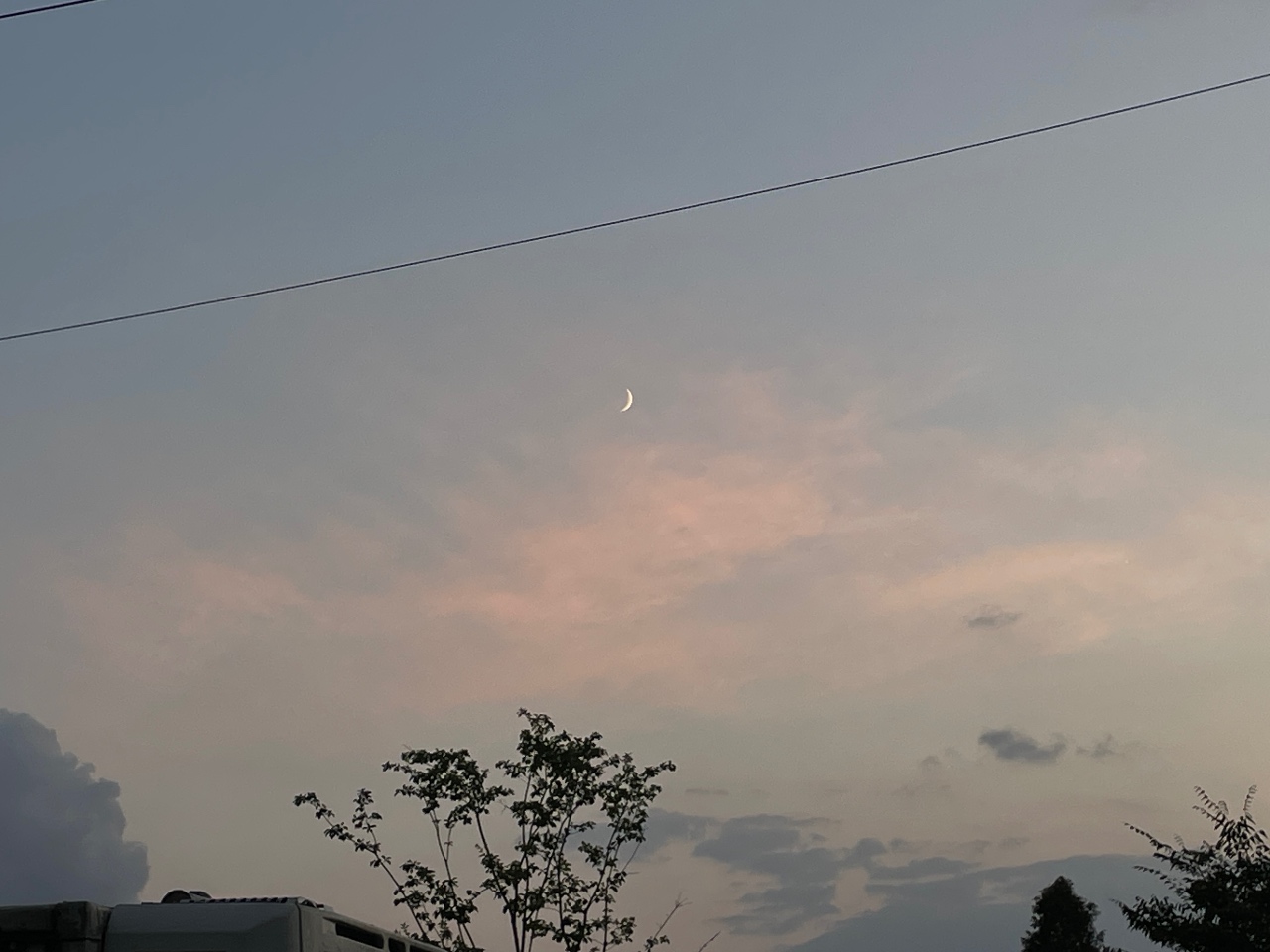 오랜만에 운동하구,,,고양이봤어용😺