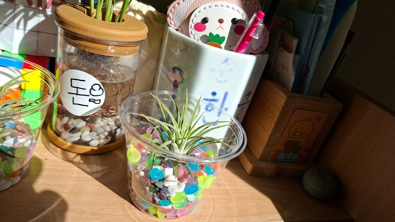 아침 햇살 좋아요~