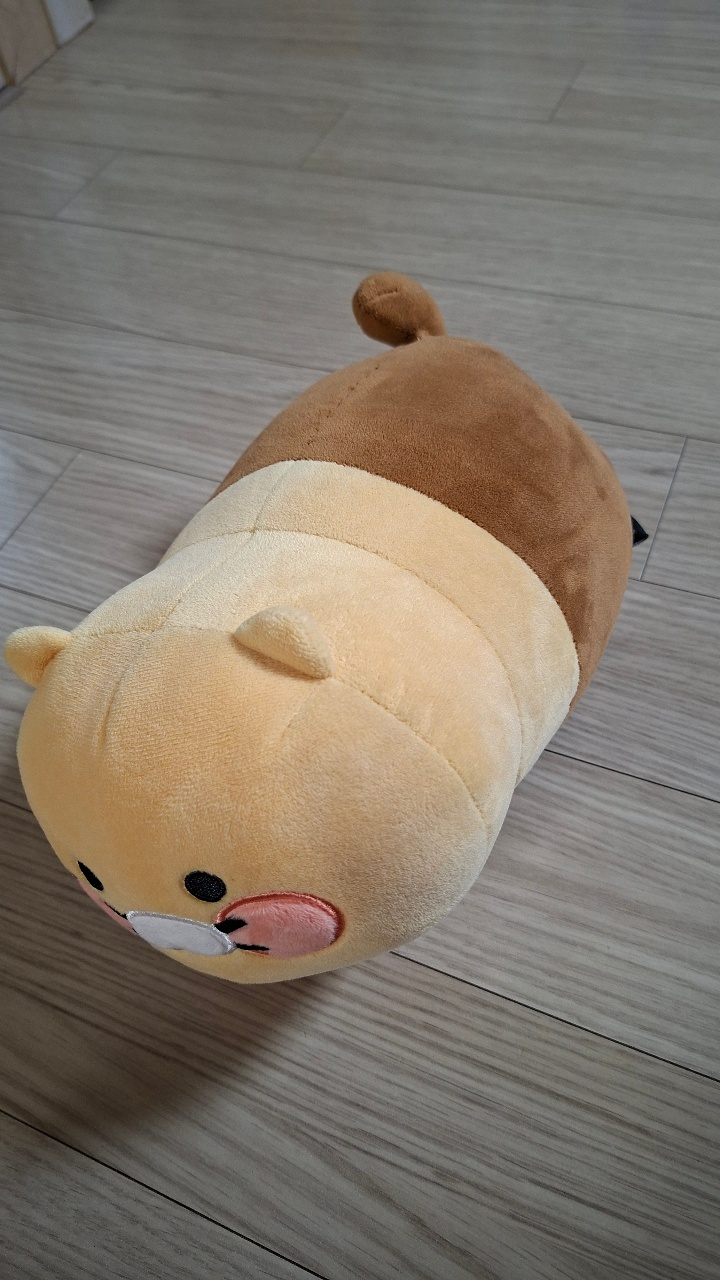 식빵춘식이에 브라운이 있다.