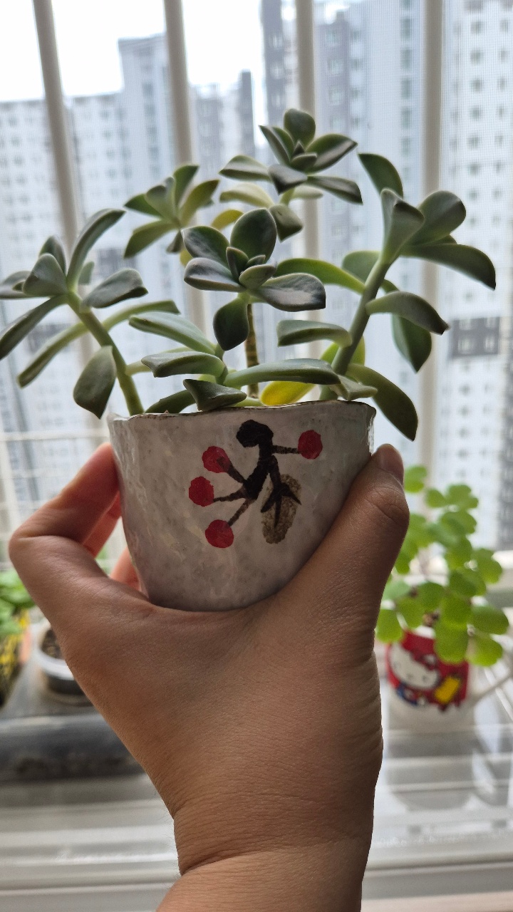 리사이클 화분