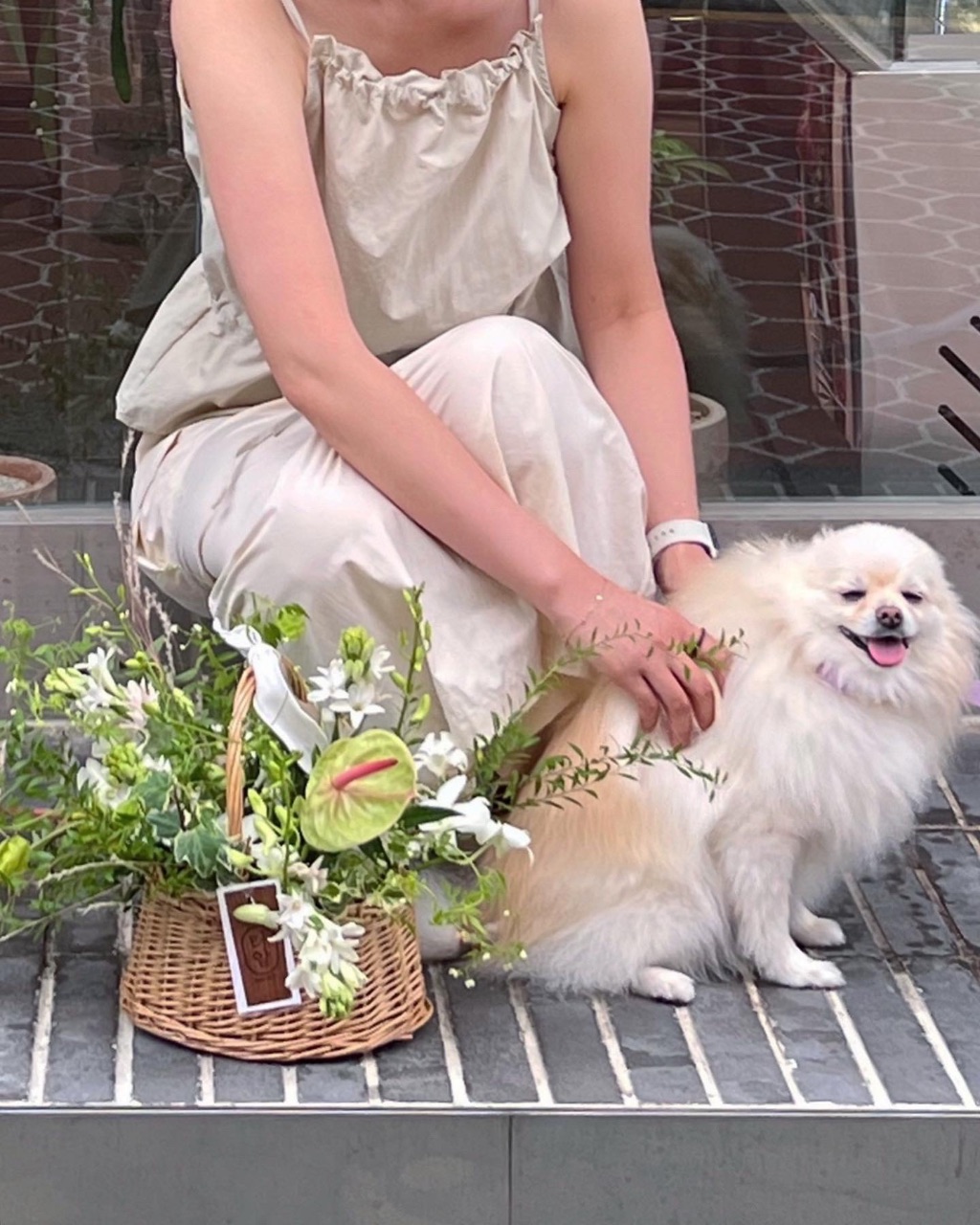 여름 꽃이 조아🐾